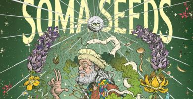 Soma Seeds banner