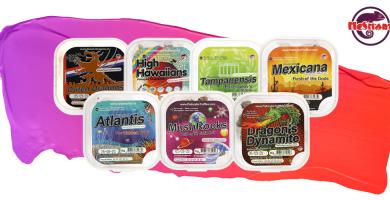Magic Truffels van McSmart: Truffels voor een unieke trip!