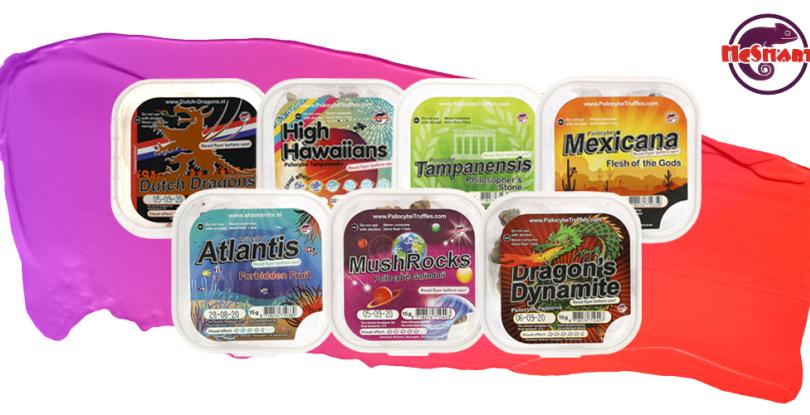 Magic Truffels van McSmart: Truffels voor een unieke trip!