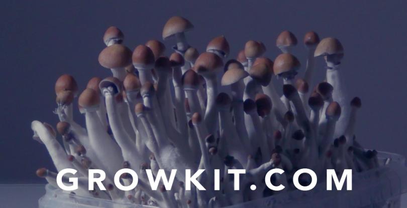 De perfecte growkit handleiding | Zelf paddo's kweken | McSmart